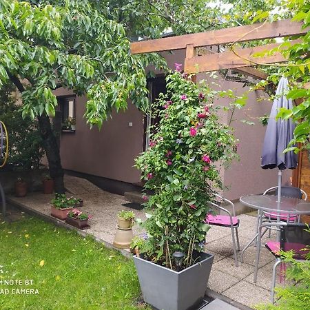 Apartment Garden Ческе-Будеёвице Экстерьер фото